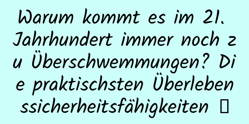 Warum kommt es im 21. Jahrhundert immer noch zu Überschwemmungen? Die praktischsten Überlebenssicherheitsfähigkeiten →