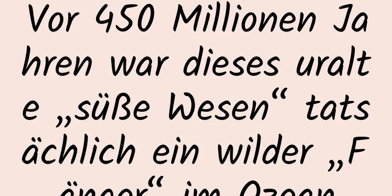 Vor 450 Millionen Jahren war dieses uralte „süße Wesen“ tatsächlich ein wilder „Fänger“ im Ozean