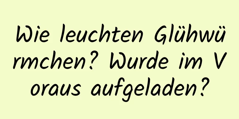 Wie leuchten Glühwürmchen? Wurde im Voraus aufgeladen?