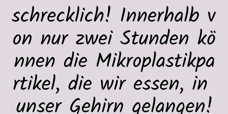 schrecklich! Innerhalb von nur zwei Stunden können die Mikroplastikpartikel, die wir essen, in unser Gehirn gelangen!