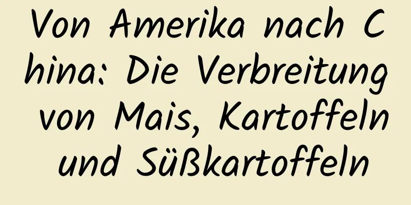 Von Amerika nach China: Die Verbreitung von Mais, Kartoffeln und Süßkartoffeln