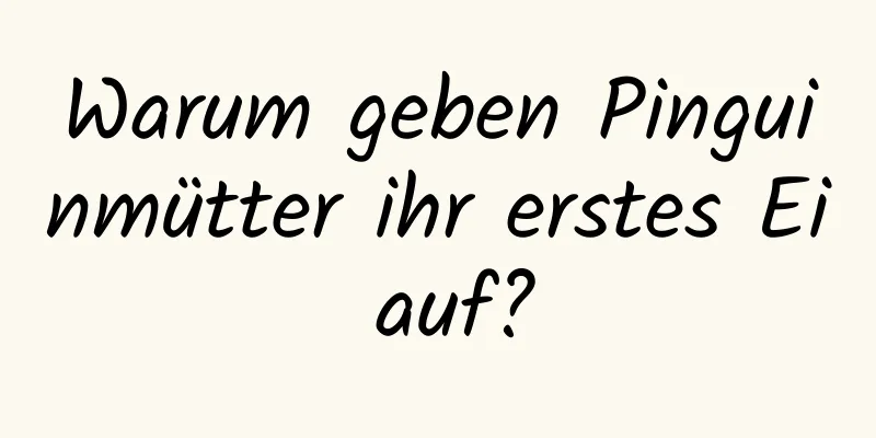 Warum geben Pinguinmütter ihr erstes Ei auf?