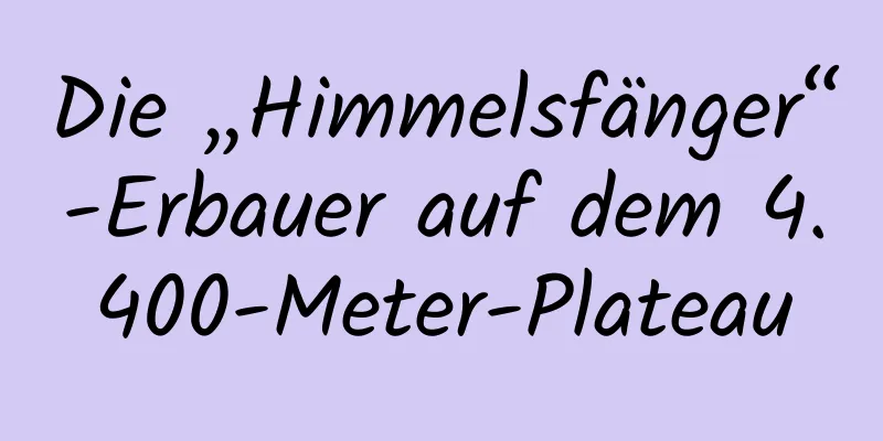 Die „Himmelsfänger“-Erbauer auf dem 4.400-Meter-Plateau