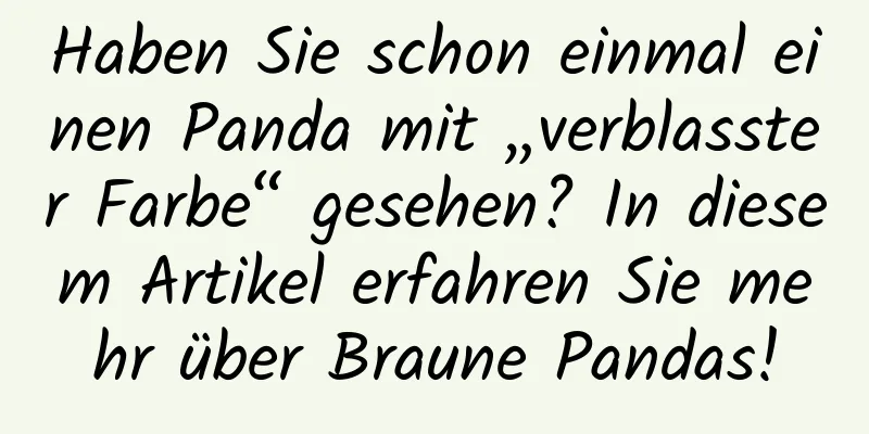 Haben Sie schon einmal einen Panda mit „verblasster Farbe“ gesehen? In diesem Artikel erfahren Sie mehr über Braune Pandas!