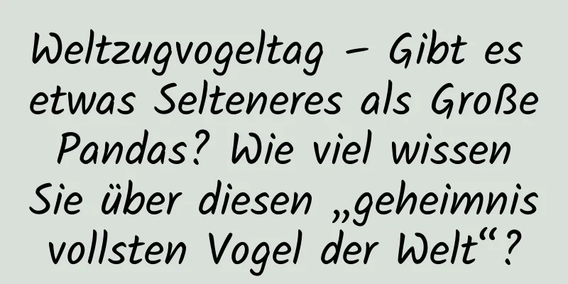 Weltzugvogeltag – Gibt es etwas Selteneres als Große Pandas? Wie viel wissen Sie über diesen „geheimnisvollsten Vogel der Welt“?
