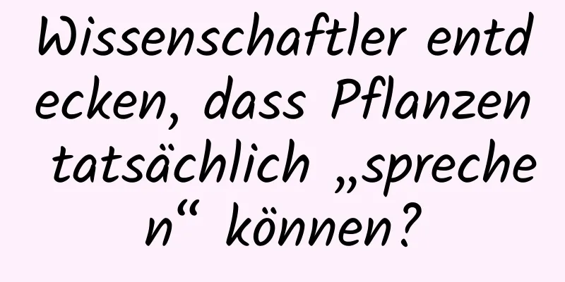Wissenschaftler entdecken, dass Pflanzen tatsächlich „sprechen“ können?