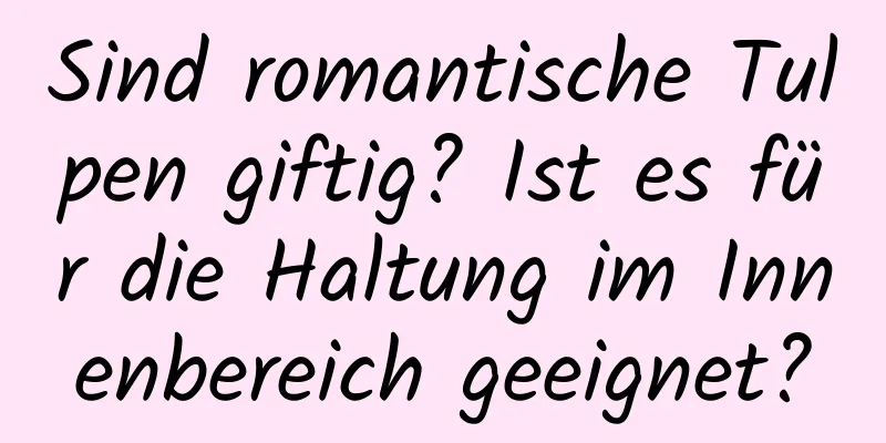 Sind romantische Tulpen giftig? Ist es für die Haltung im Innenbereich geeignet?