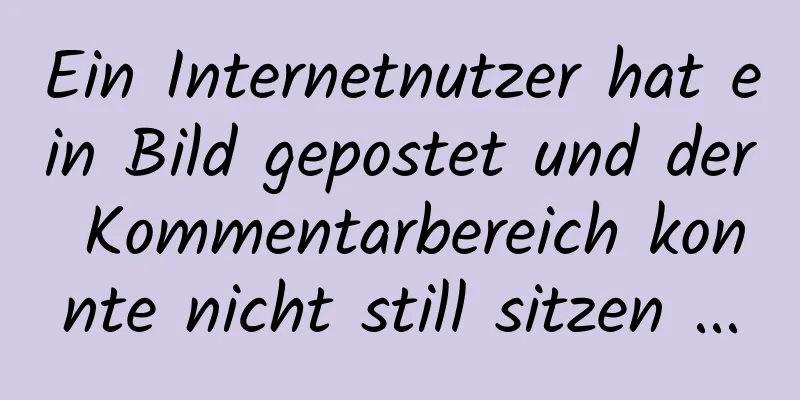 Ein Internetnutzer hat ein Bild gepostet und der Kommentarbereich konnte nicht still sitzen ...