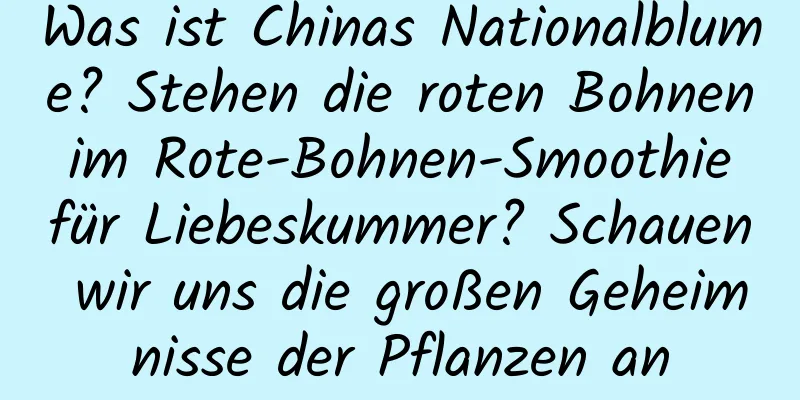 Was ist Chinas Nationalblume? Stehen die roten Bohnen im Rote-Bohnen-Smoothie für Liebeskummer? Schauen wir uns die großen Geheimnisse der Pflanzen an