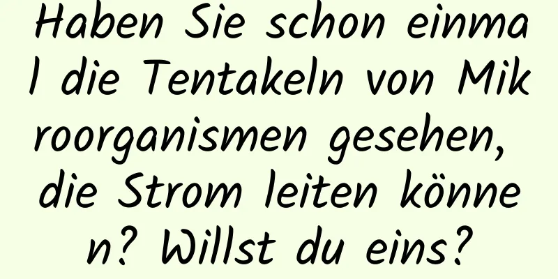 Haben Sie schon einmal die Tentakeln von Mikroorganismen gesehen, die Strom leiten können? Willst du eins?