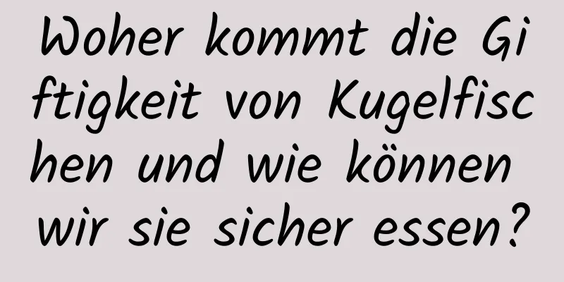 Woher kommt die Giftigkeit von Kugelfischen und wie können wir sie sicher essen?