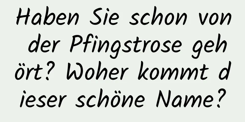 Haben Sie schon von der Pfingstrose gehört? Woher kommt dieser schöne Name?