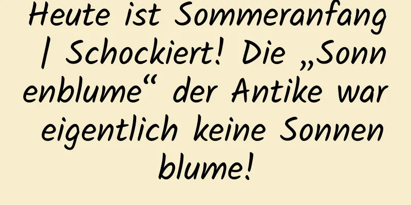 Heute ist Sommeranfang | Schockiert! Die „Sonnenblume“ der Antike war eigentlich keine Sonnenblume!