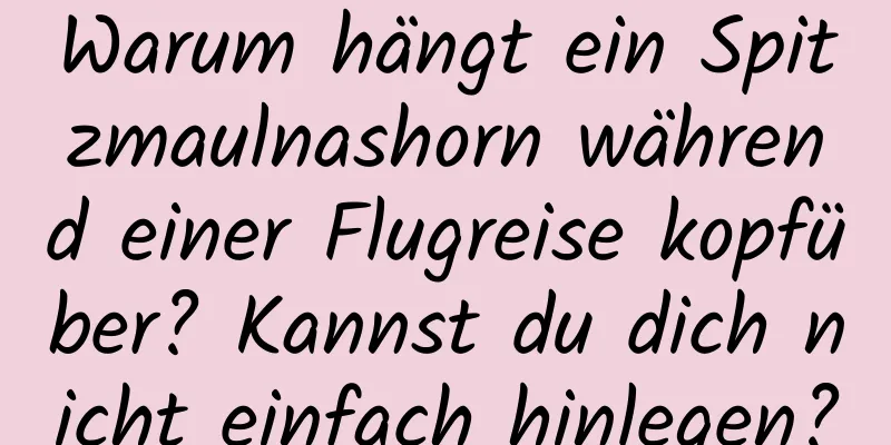 Warum hängt ein Spitzmaulnashorn während einer Flugreise kopfüber? Kannst du dich nicht einfach hinlegen?