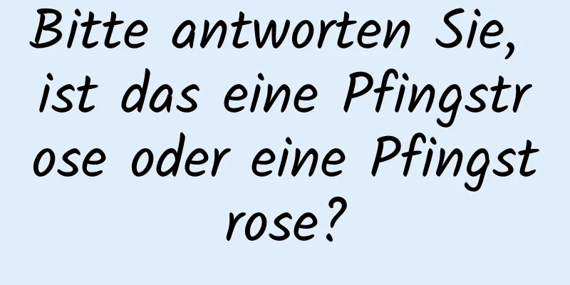 Bitte antworten Sie, ist das eine Pfingstrose oder eine Pfingstrose?