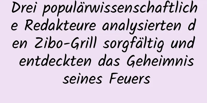 Drei populärwissenschaftliche Redakteure analysierten den Zibo-Grill sorgfältig und entdeckten das Geheimnis seines Feuers