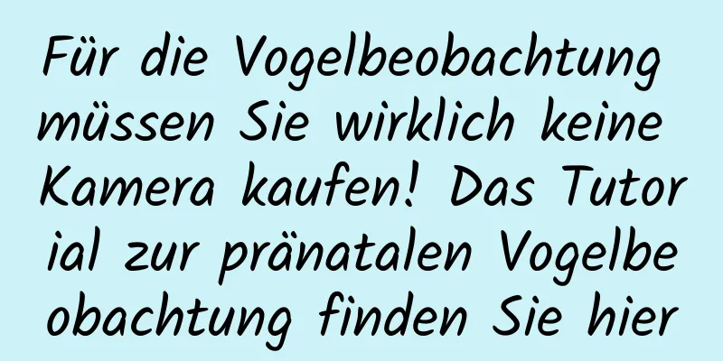 Für die Vogelbeobachtung müssen Sie wirklich keine Kamera kaufen! Das Tutorial zur pränatalen Vogelbeobachtung finden Sie hier