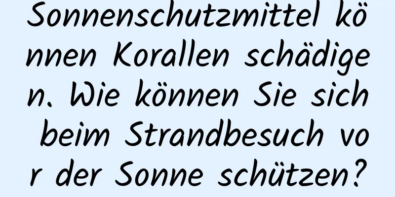 Sonnenschutzmittel können Korallen schädigen. Wie können Sie sich beim Strandbesuch vor der Sonne schützen?