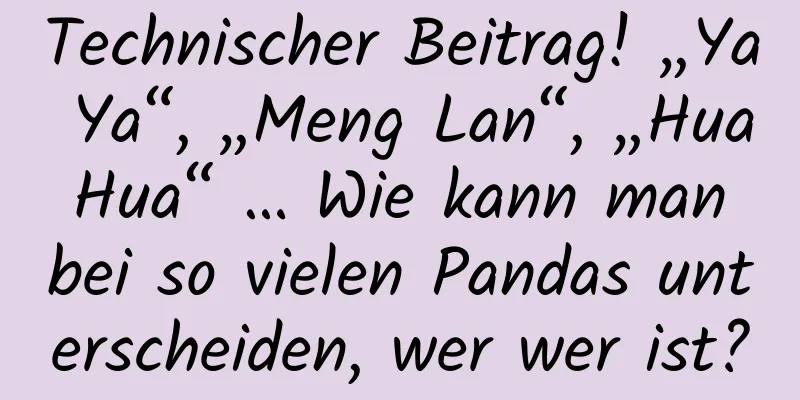 Technischer Beitrag! „Ya Ya“, „Meng Lan“, „Hua Hua“ … Wie kann man bei so vielen Pandas unterscheiden, wer wer ist?