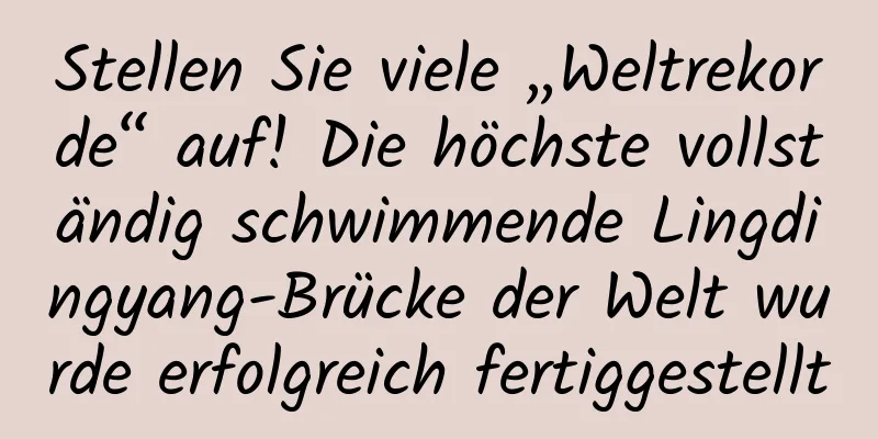 Stellen Sie viele „Weltrekorde“ auf! Die höchste vollständig schwimmende Lingdingyang-Brücke der Welt wurde erfolgreich fertiggestellt
