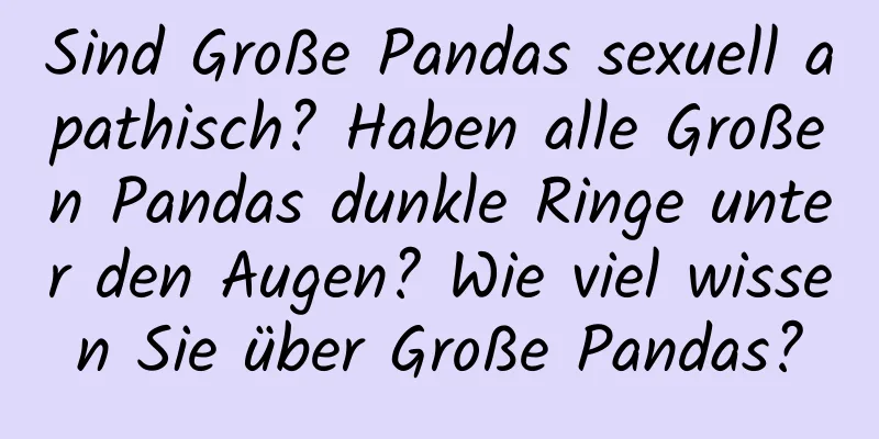 Sind Große Pandas sexuell apathisch? Haben alle Großen Pandas dunkle Ringe unter den Augen? Wie viel wissen Sie über Große Pandas?