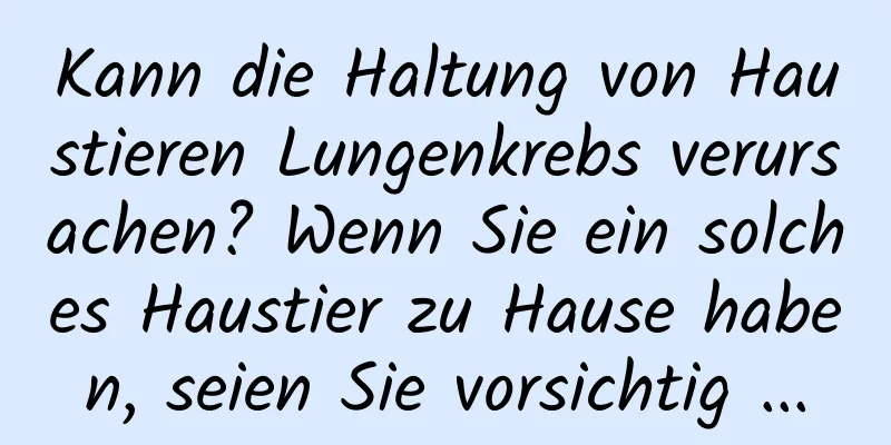 Kann die Haltung von Haustieren Lungenkrebs verursachen? Wenn Sie ein solches Haustier zu Hause haben, seien Sie vorsichtig ...