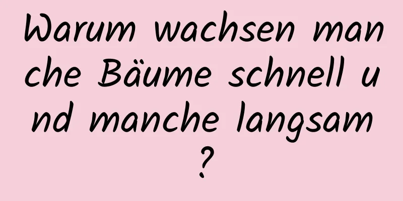 Warum wachsen manche Bäume schnell und manche langsam?