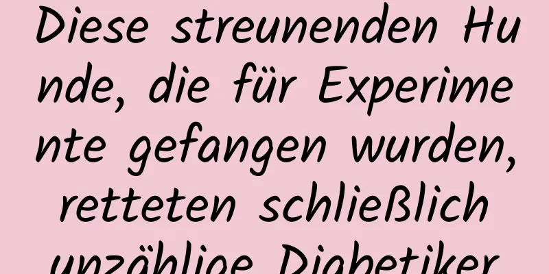 Diese streunenden Hunde, die für Experimente gefangen wurden, retteten schließlich unzählige Diabetiker