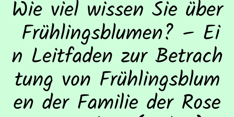 Wie viel wissen Sie über Frühlingsblumen? – Ein Leitfaden zur Betrachtung von Frühlingsblumen der Familie der Rosengewächse (Teil 2)