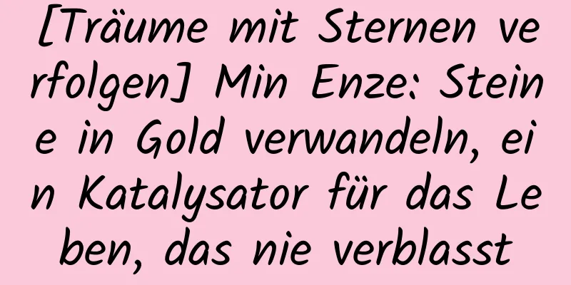 [Träume mit Sternen verfolgen] Min Enze: Steine ​​in Gold verwandeln, ein Katalysator für das Leben, das nie verblasst