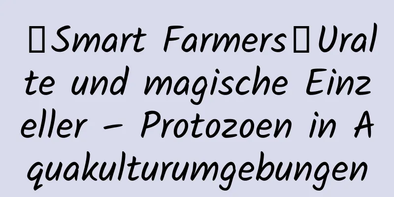 【Smart Farmers】Uralte und magische Einzeller – Protozoen in Aquakulturumgebungen