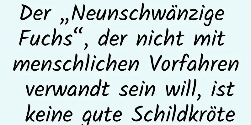 Der „Neunschwänzige Fuchs“, der nicht mit menschlichen Vorfahren verwandt sein will, ist keine gute Schildkröte