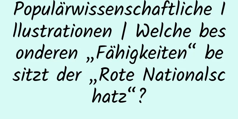 Populärwissenschaftliche Illustrationen | Welche besonderen „Fähigkeiten“ besitzt der „Rote Nationalschatz“?