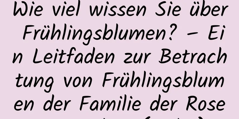 Wie viel wissen Sie über Frühlingsblumen? – Ein Leitfaden zur Betrachtung von Frühlingsblumen der Familie der Rosengewächse (Teil 1)