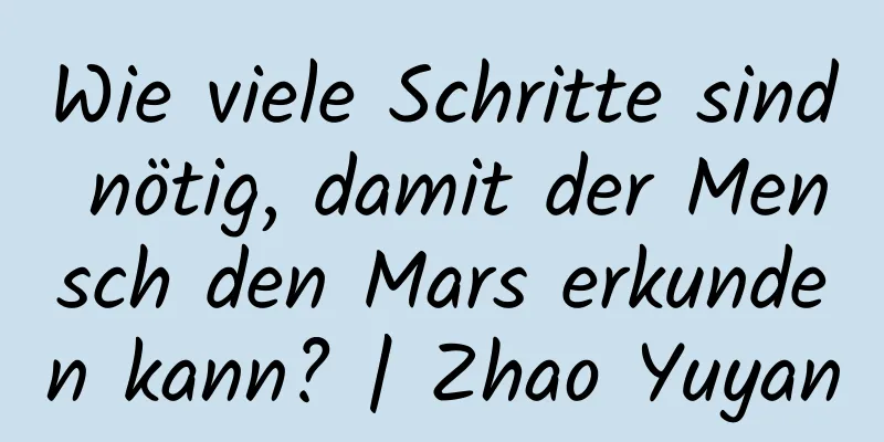 Wie viele Schritte sind nötig, damit der Mensch den Mars erkunden kann? | Zhao Yuyan