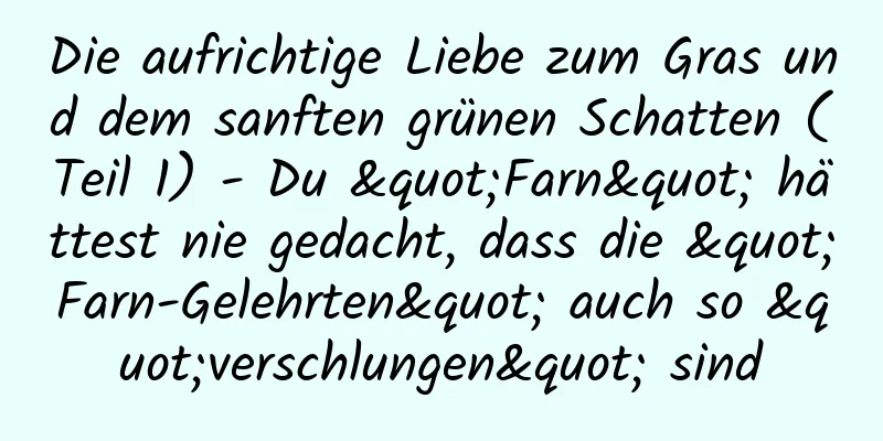 Die aufrichtige Liebe zum Gras und dem sanften grünen Schatten (Teil 1) - Du "Farn" hättest nie gedacht, dass die "Farn-Gelehrten" auch so "verschlungen" sind