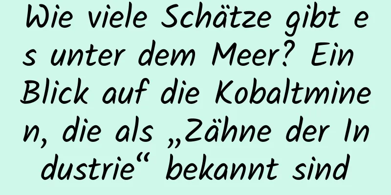 Wie viele Schätze gibt es unter dem Meer? Ein Blick auf die Kobaltminen, die als „Zähne der Industrie“ bekannt sind