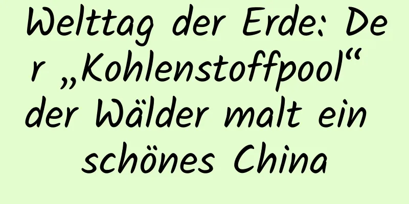 Welttag der Erde: Der „Kohlenstoffpool“ der Wälder malt ein schönes China