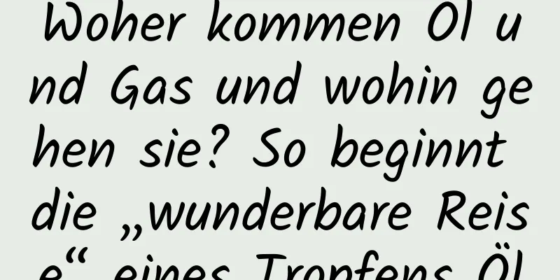 Woher kommen Öl und Gas und wohin gehen sie? So beginnt die „wunderbare Reise“ eines Tropfens Öl