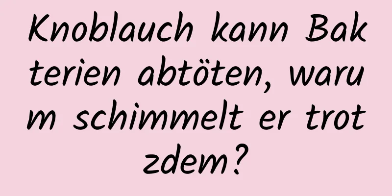 Knoblauch kann Bakterien abtöten, warum schimmelt er trotzdem?