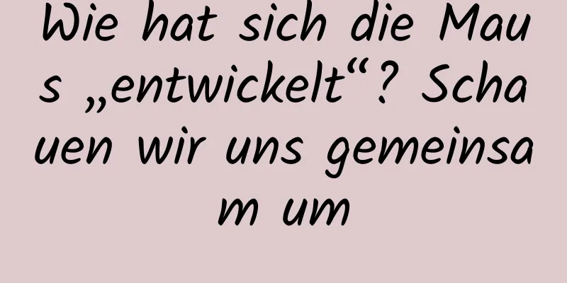 Wie hat sich die Maus „entwickelt“? Schauen wir uns gemeinsam um