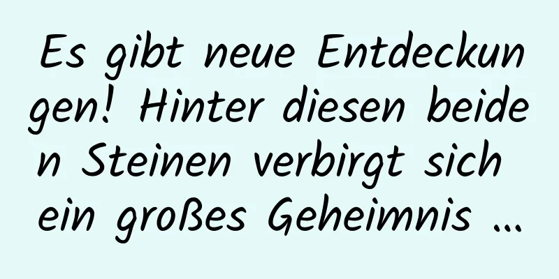 Es gibt neue Entdeckungen! Hinter diesen beiden Steinen verbirgt sich ein großes Geheimnis …