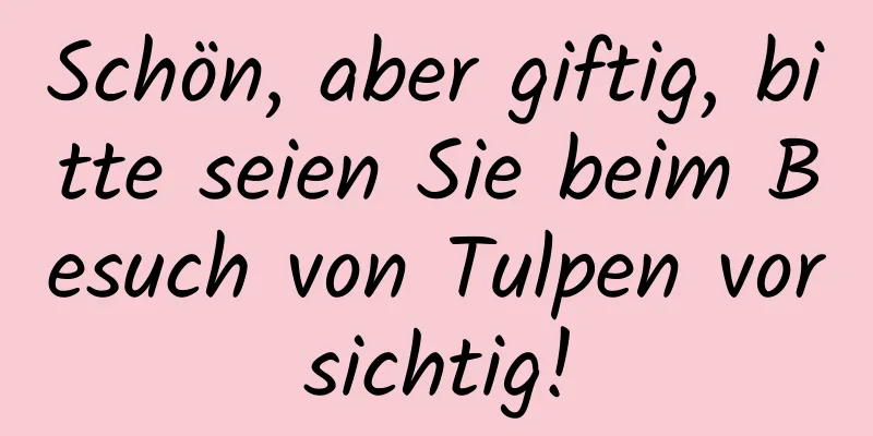 Schön, aber giftig, bitte seien Sie beim Besuch von Tulpen vorsichtig!