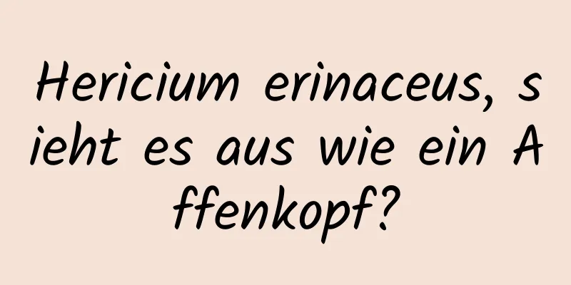 Hericium erinaceus, sieht es aus wie ein Affenkopf?