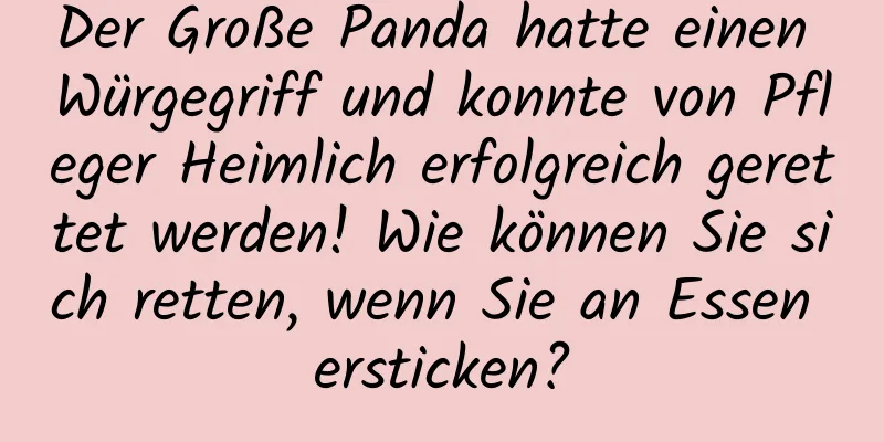 Der Große Panda hatte einen Würgegriff und konnte von Pfleger Heimlich erfolgreich gerettet werden! Wie können Sie sich retten, wenn Sie an Essen ersticken?