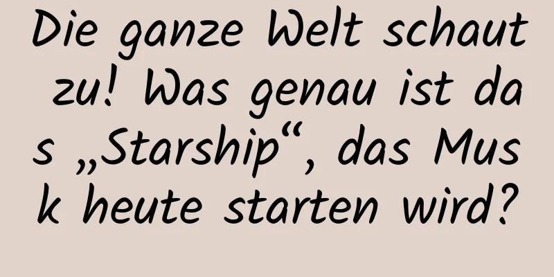 Die ganze Welt schaut zu! Was genau ist das „Starship“, das Musk heute starten wird?