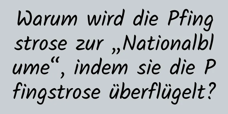 Warum wird die Pfingstrose zur „Nationalblume“, indem sie die Pfingstrose überflügelt?