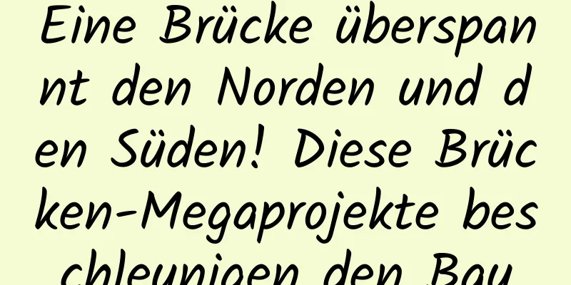 Eine Brücke überspannt den Norden und den Süden! Diese Brücken-Megaprojekte beschleunigen den Bau