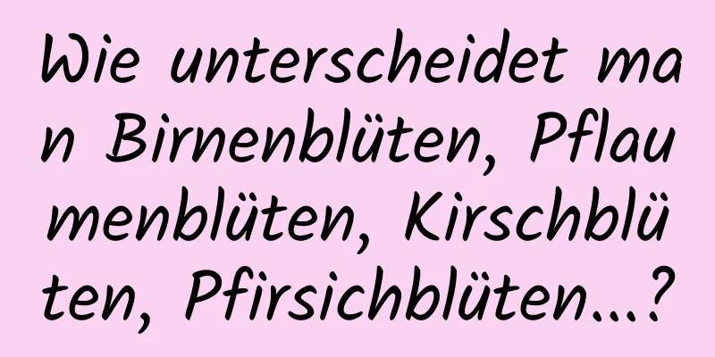 Wie unterscheidet man Birnenblüten, Pflaumenblüten, Kirschblüten, Pfirsichblüten...?