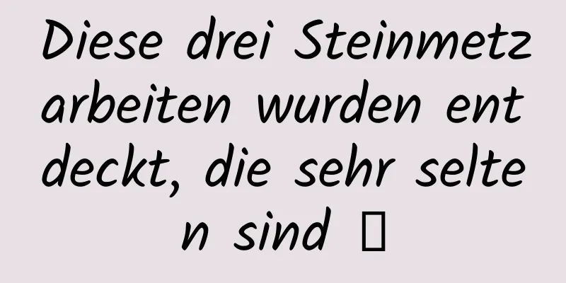 Diese drei Steinmetzarbeiten wurden entdeckt, die sehr selten sind →